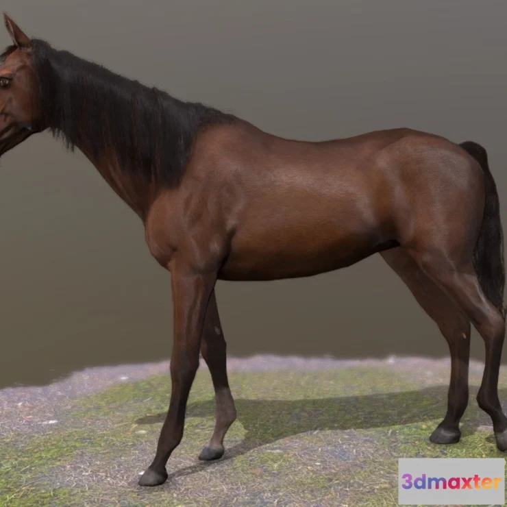1533770 - PBR Game 3D Models - Horse Standing Pose 2 3D Max