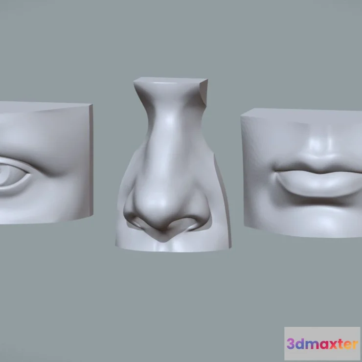 1533814 - PBR Game 3D Models - Human Mouth Eye And Nose Reference Study Pack 3D Max