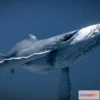 1533832 - PBR Game 3D Models - Humpback Whale 3D Max