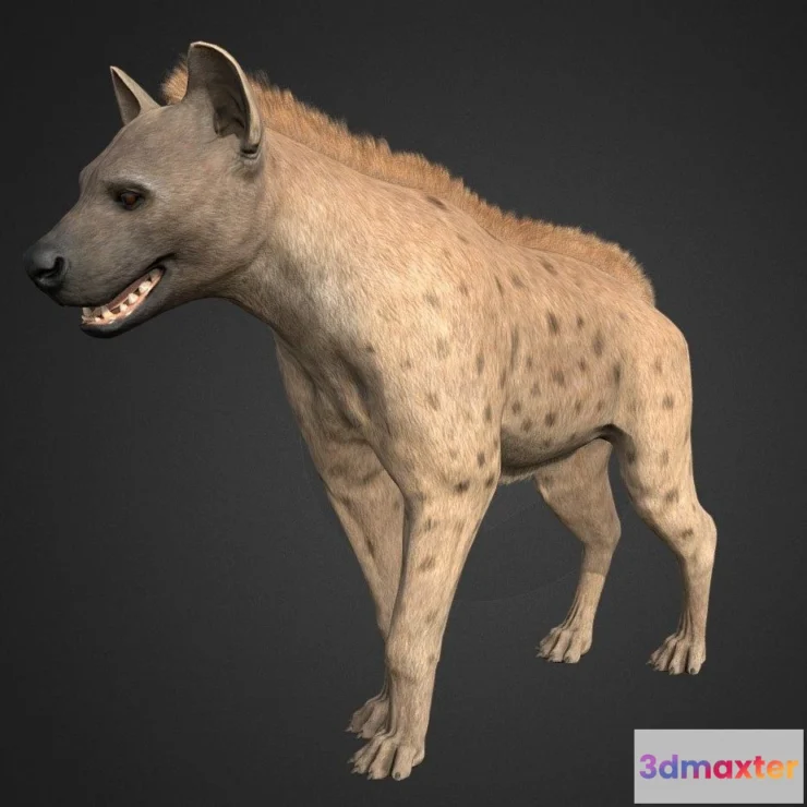 1533836 - PBR Game 3D Models - Hyena 3D Max