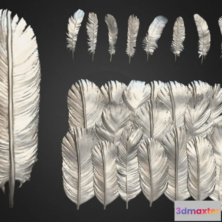 1533874 - PBR Game 3D Models - Imm Feathers Brushes For Zbrush 3D Max