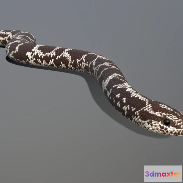 1534074 - PBR Game 3D Models - Kenyan Sand Boa Animated 3D Max