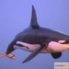 1534088 - PBR Game 3D Models - Killer whale orca 3D Max