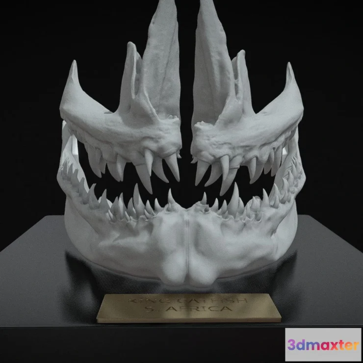 1534092 - PBR Game 3D Models - King Catfish Jaw Omsx 3D Max