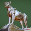 1534210 - PBR Game 3D Models - Leopard (2) 3D Max