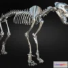 1534212 - PBR Game 3D Models - Leopard Skeleton 3D Model 3D Max