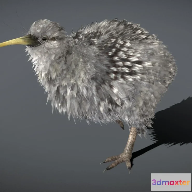 1534296 - PBR Game 3D Models - Little Spotted Kiwi 3D Max