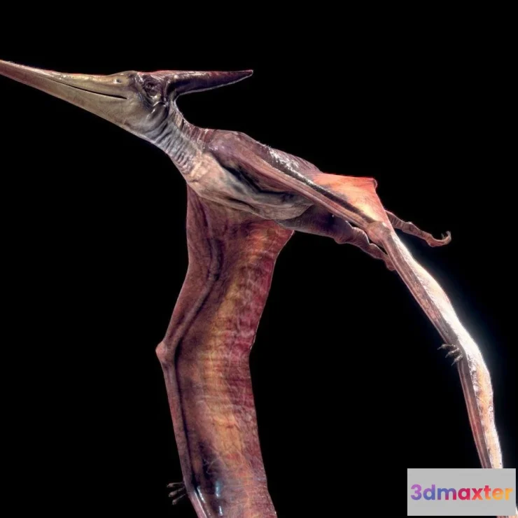 1534402 - PBR Game 3D Models - Low Poly Realistic Dinosaur Pteranodon 3D Max