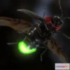 1534446 - PBR Game 3D Models - Luciola lateralis Japanese Fire Fly 3D Max