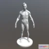 1534522 - PBR Game 3D Models - Male Ecorche 3D Max