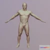 1534570 - PBR Game 3D Models - Marek 3D Scan Nude Body 3D Max