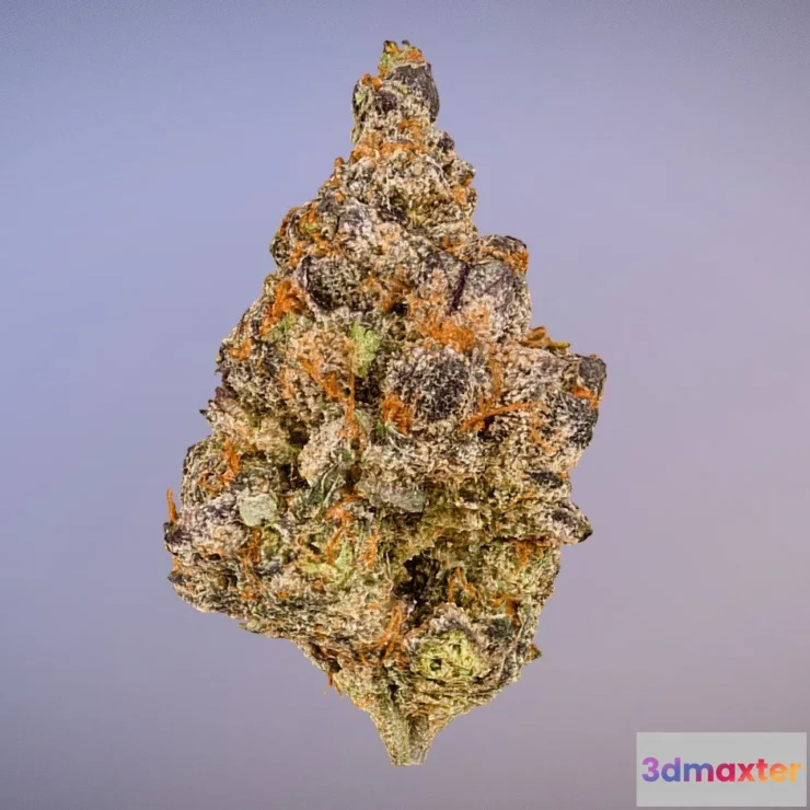 1534572 - PBR Game 3D Models - Marijuana Flower 2 3D Max