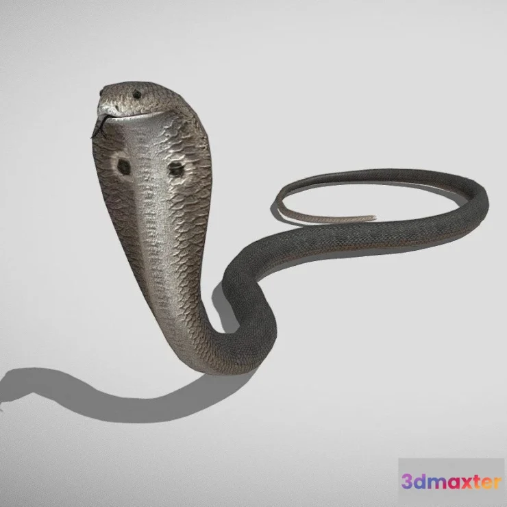 1534680 - PBR Game 3D Models - Medhue Cobra 3D Max