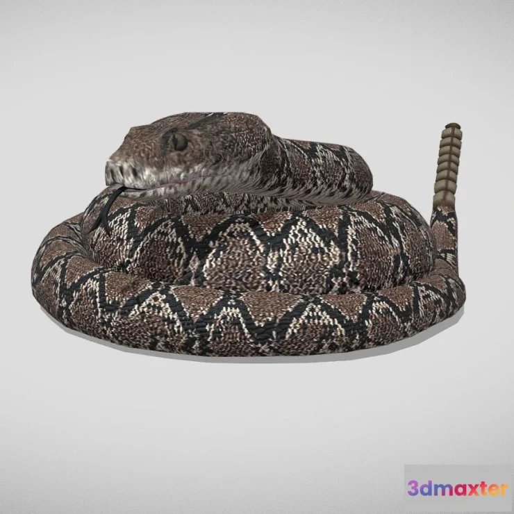 1534682 - PBR Game 3D Models - Medhue Rattlesnake 3D Max