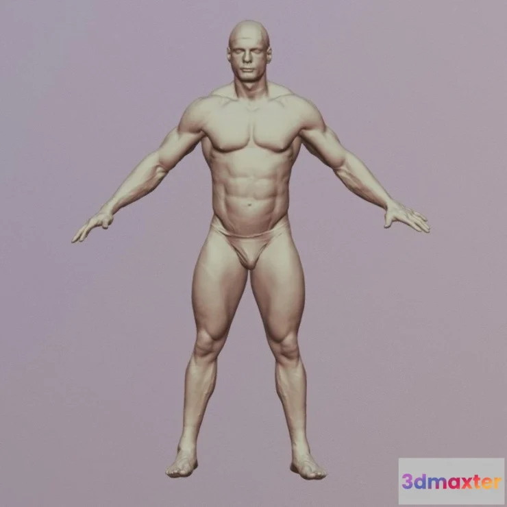 1534826 - PBR Game 3D Models - Michal 3Dscan Nudebody 3D Max