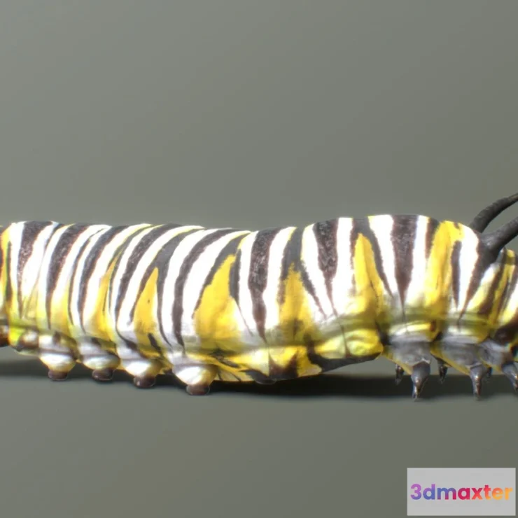 1534916 - PBR Game 3D Models - Monarch Butterfly Caterpillar 3D Max