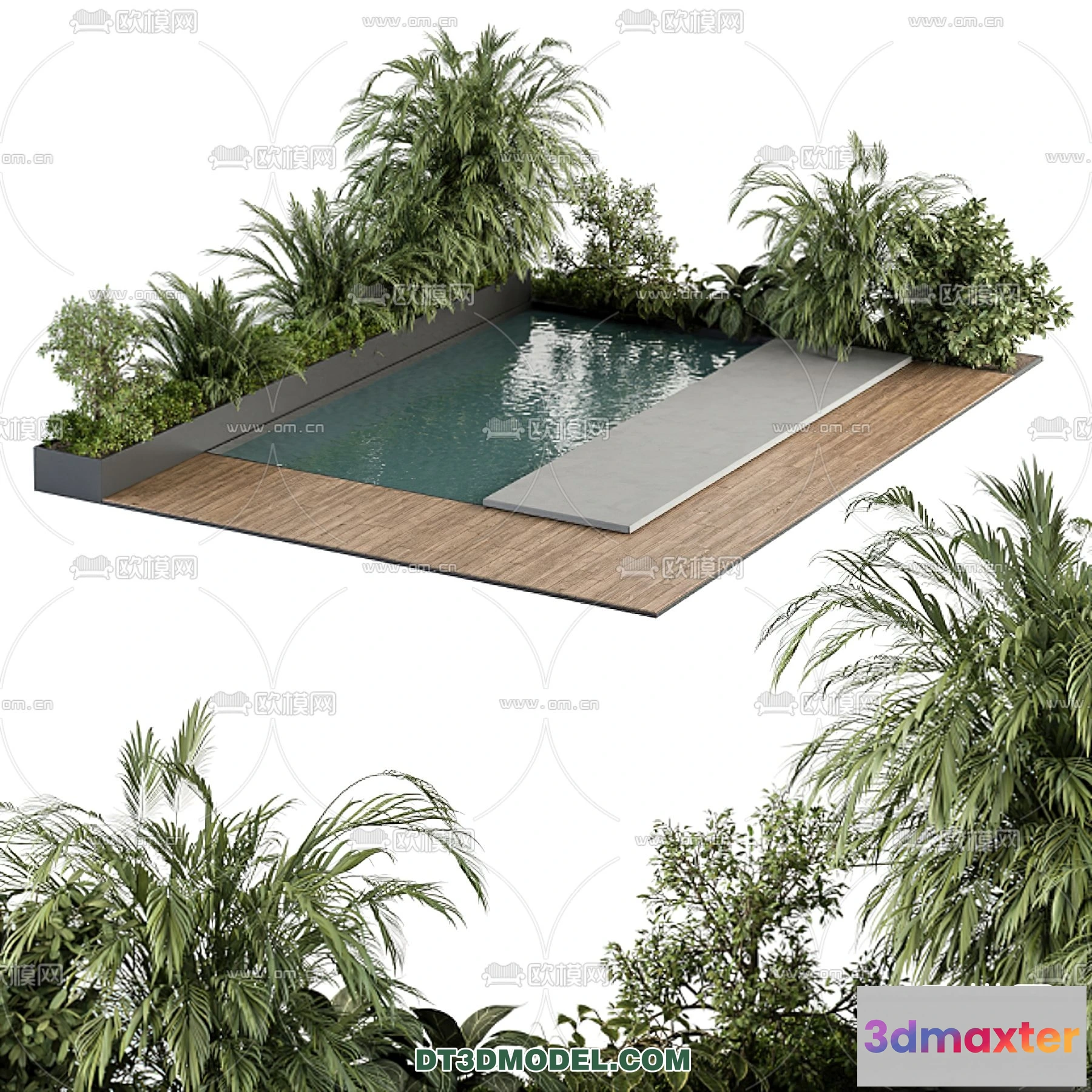 1239782 - EXTERIOR - POOL - VRAY  CORONA - 3D MODEL - 1015