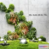 1686632 - Miniature Garden 3D Scenes - Interior Plants - 049 - CORONA Render 3D Max