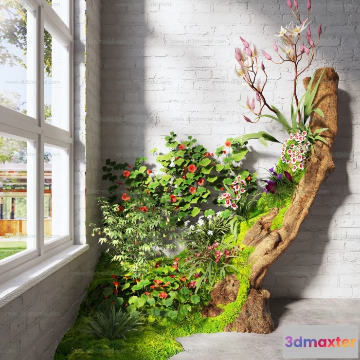 1686728 - Miniature Garden 3D Scenes - Interior Plants - 097 - VRAY Render 3D Max