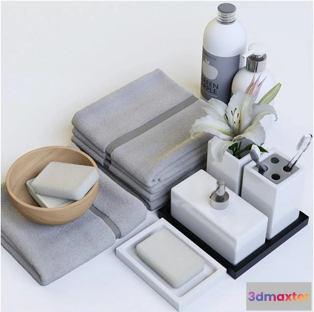 1550537 - Bathroom decor 3D Max