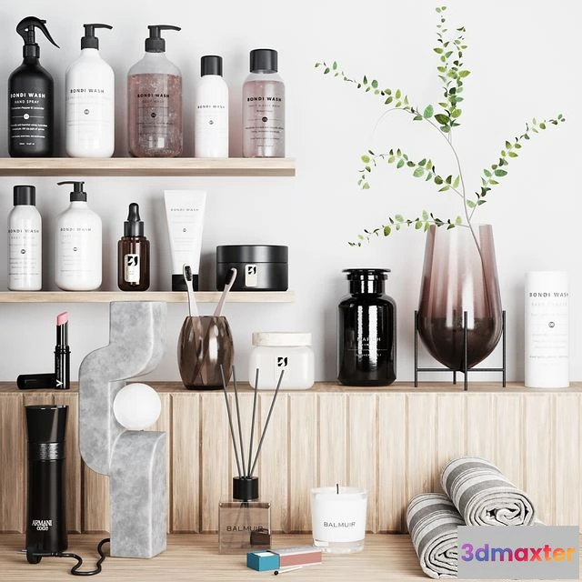 1556087 - bathroom accessories 02 bondiwash 3D Max