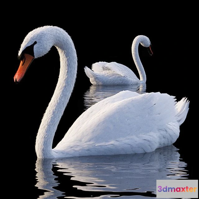 1565074 - White Swan 3D Max