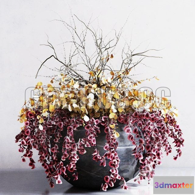 1081148 - Flower Bed - 214705