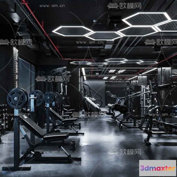 1181812 - GYM - 3D MODELS - SCENES - 134