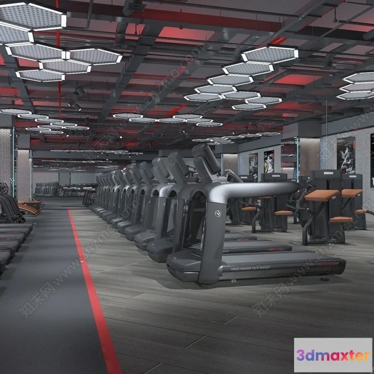1362903 - GYM - 3D Interior Scene - 3D Models - 010 3D Max