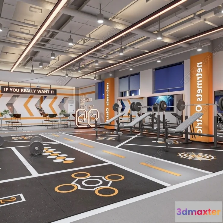 1363113 - GYM - 3D Interior Scene - 3D Models - 013 3D Max