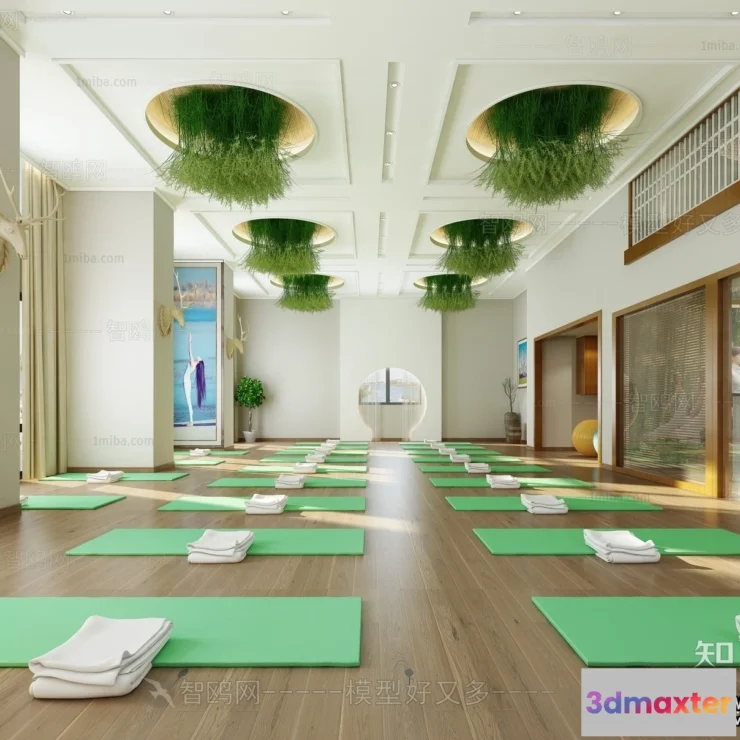 1363609 - GYM - 3D Interior Scene - 3D Models - 020 3D Max