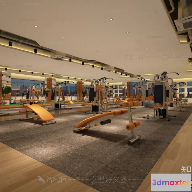 1363810 - GYM - 3D Interior Scene - 3D Models - 023 3D Max