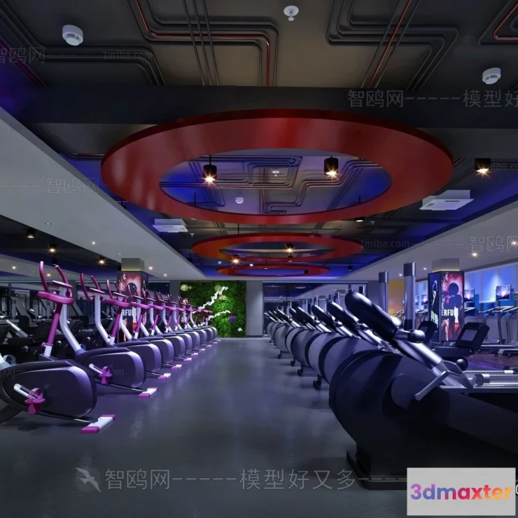 1364265 - GYM - 3D Interior Scene - 3D Models - 030 3D Max
