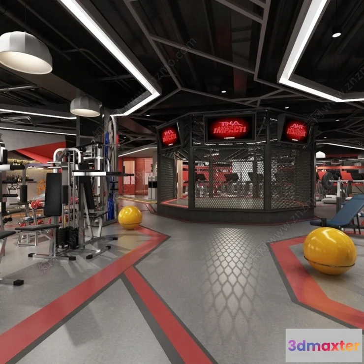 1365658 - GYM - 3D Interior Scene - 3D Models - 050 3D Max
