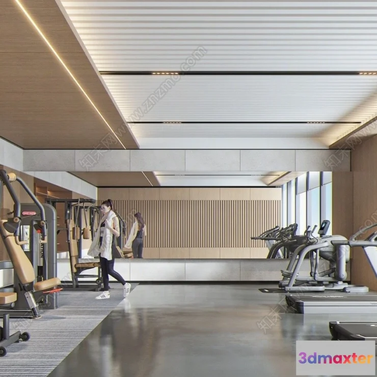 1366227 - GYM - 3D Interior Scene - 3D Models - 058 3D Max