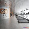 1367164 - GYM - 3D Interior Scene - 3D Models - 072 3D Max