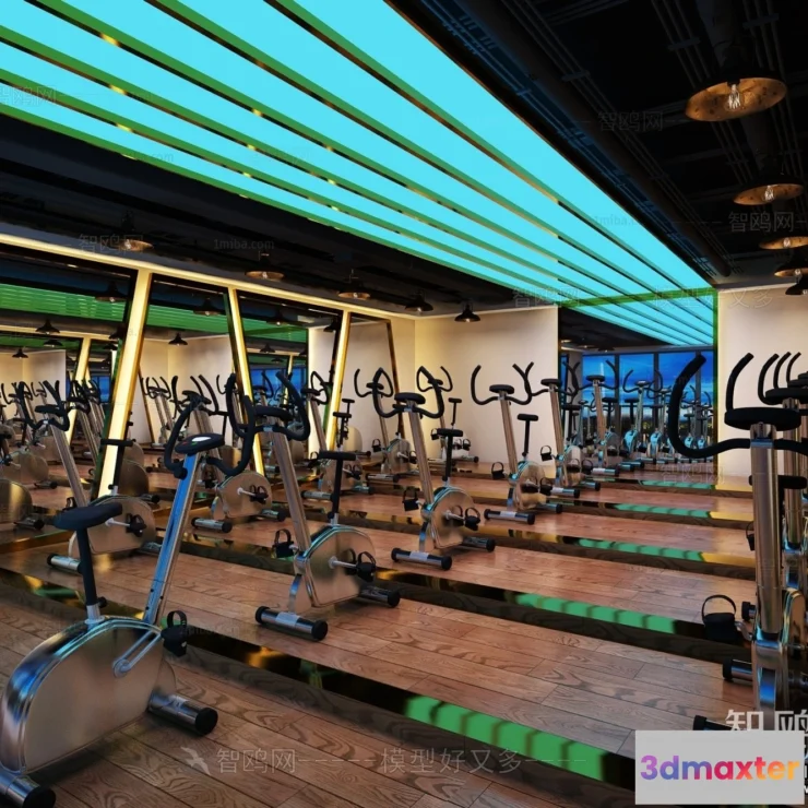 1368319 - GYM - 3D Interior Scene - 3D Models - 089 3D Max