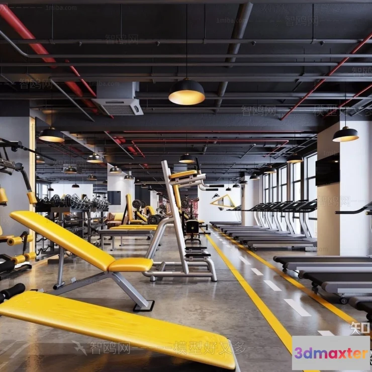 1369069 - GYM - 3D Interior Scene - 3D Models - 100 3D Max