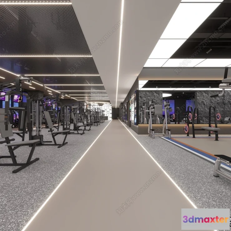 1369136 - GYM - 3D Interior Scene - 3D Models - 101 3D Max