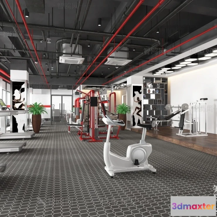1370036 - GYM - 3D Interior Scene - 3D Models - 114 3D Max