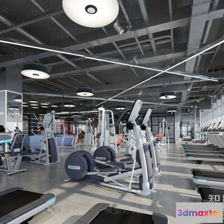 1370738 - GYM - 3D Interior Scene - 3D Models - 124 3D Max