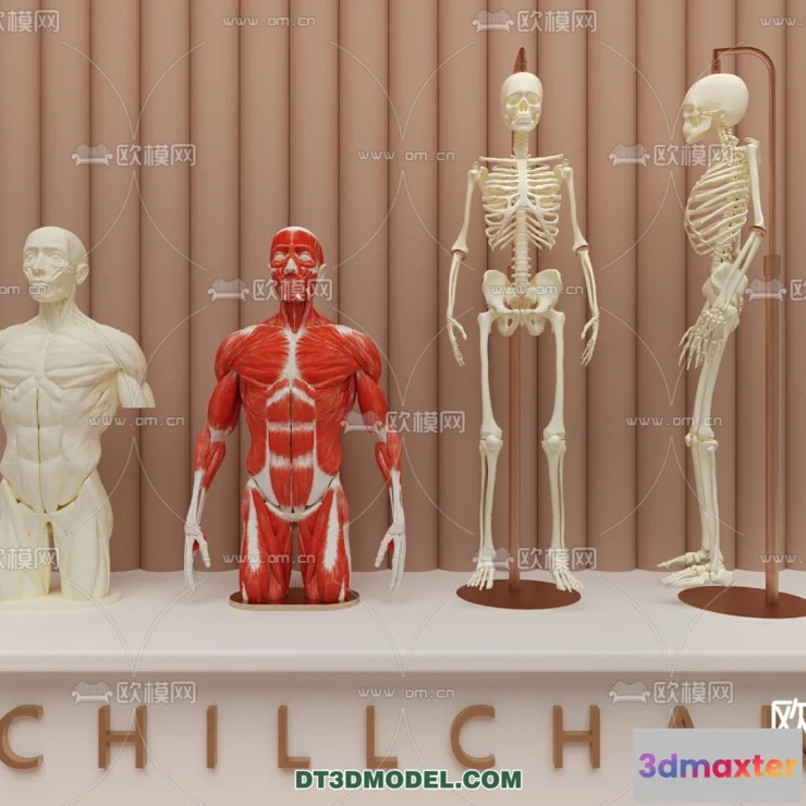 1536310 - HOSPITAL CLINIC - 3D Model For Interior Design - 11325 3D Max