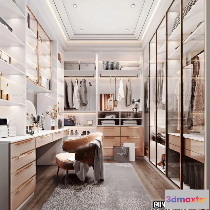 1379420 - Dressing Room 3D Interior Scene - Modern Style - 010 3D Max