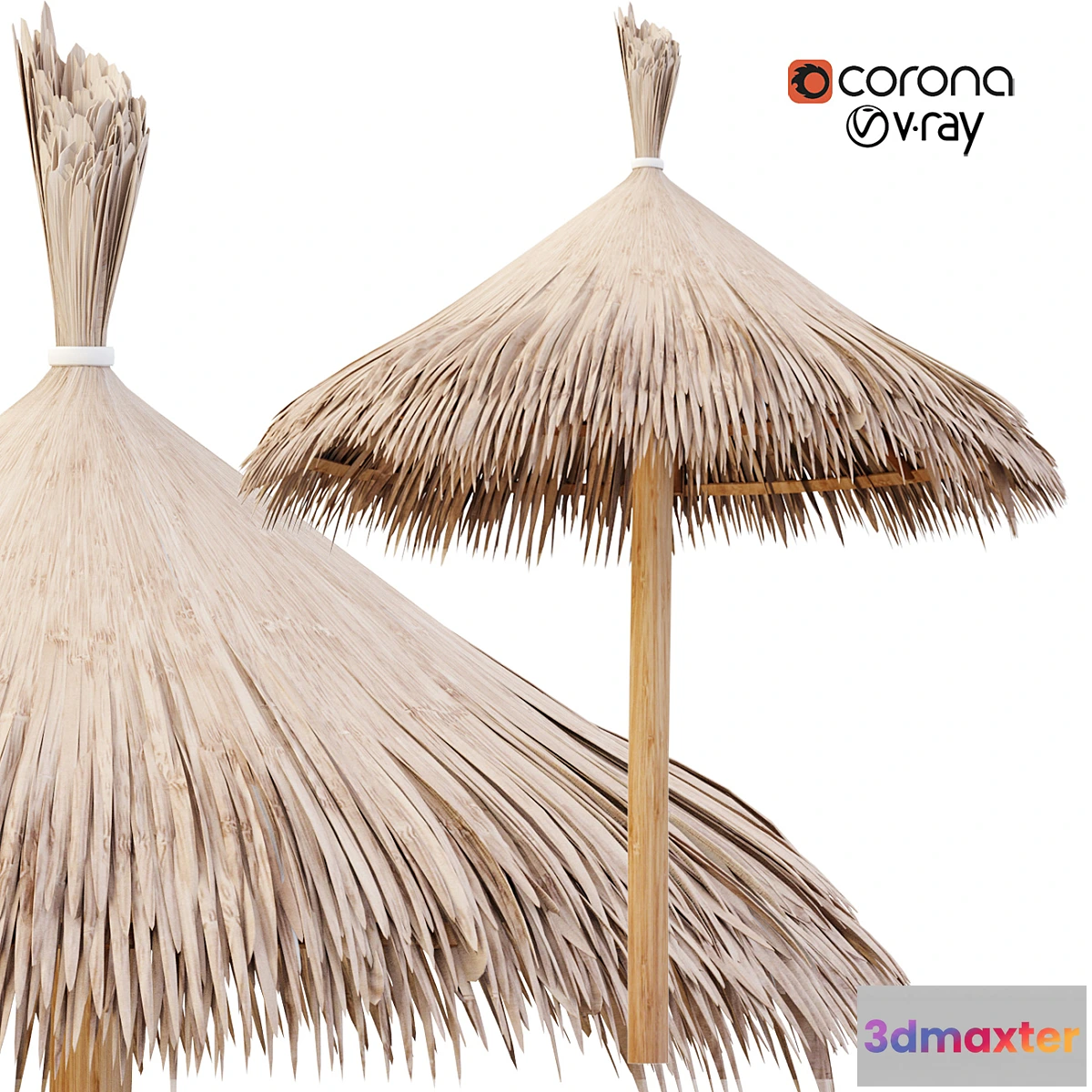 1309028 - Bamboo Umbrella with Banana Leaf N2 3D Max