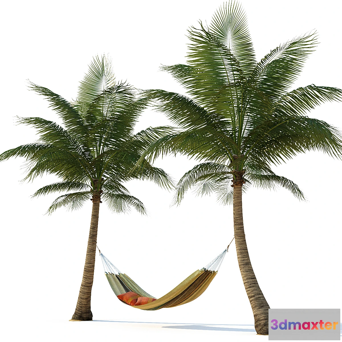1342971 - Hammock on palm trees - No.2 3D Max