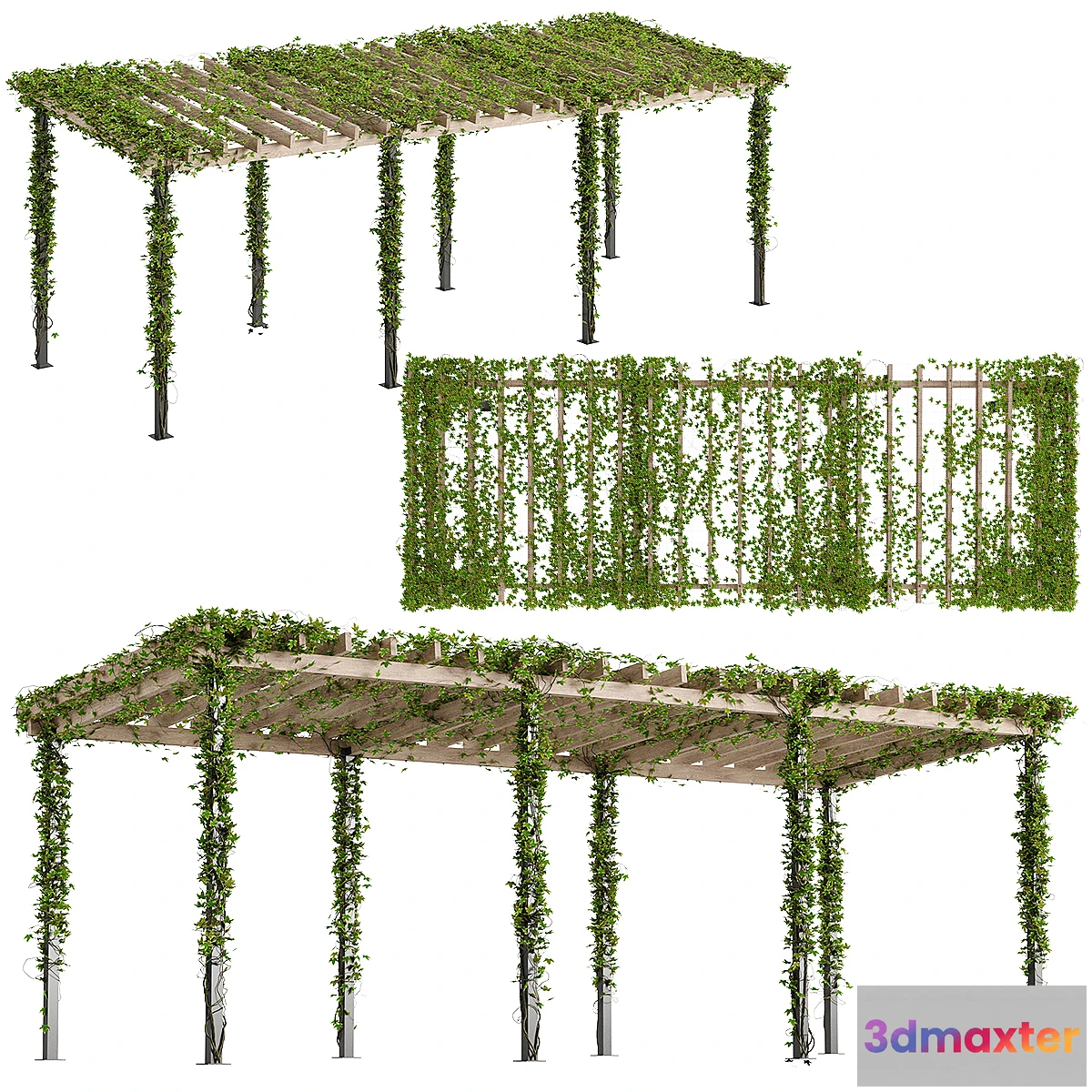 1354505 - Pergola with Ivy v10 - No.2 3D Max