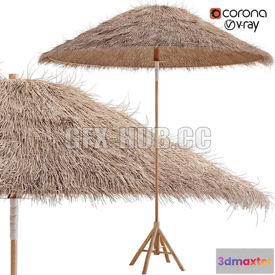 1563472 - Bamboo Umbrella with Banana Leaf 3D Max