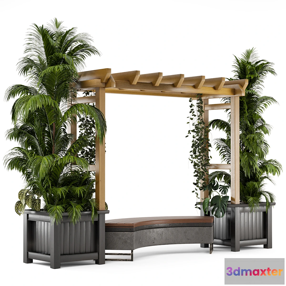 541275 - Outdoor Plants on Pergola - Garden Set 138