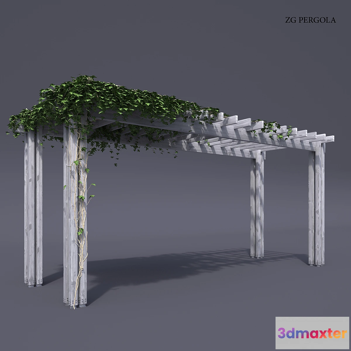 577586 - ZG pergola