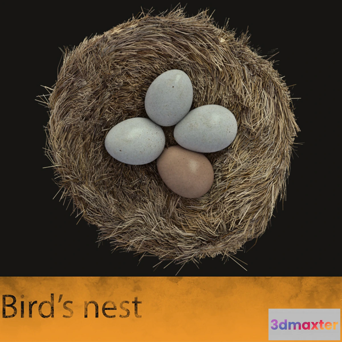 579540 - Bird’s nest